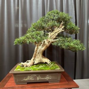 Meet your Posher, Hoke